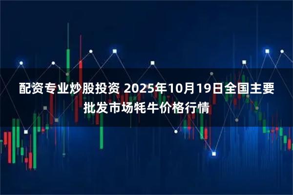 配资专业炒股投资 2025年10月19日全国主要批发市场牦牛价格行情