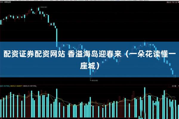 配资证券配资网站 香溢海岛迎春来（一朵花读懂一座城）